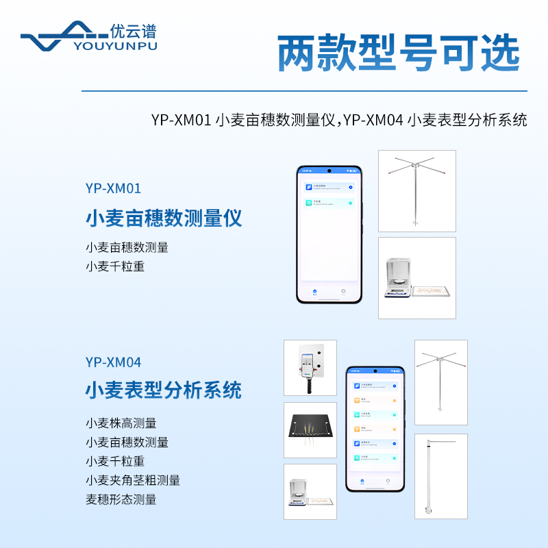 小麥表型測量儀
